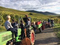 Baden Weine vom Weingut Schwank, es lohnt sich!